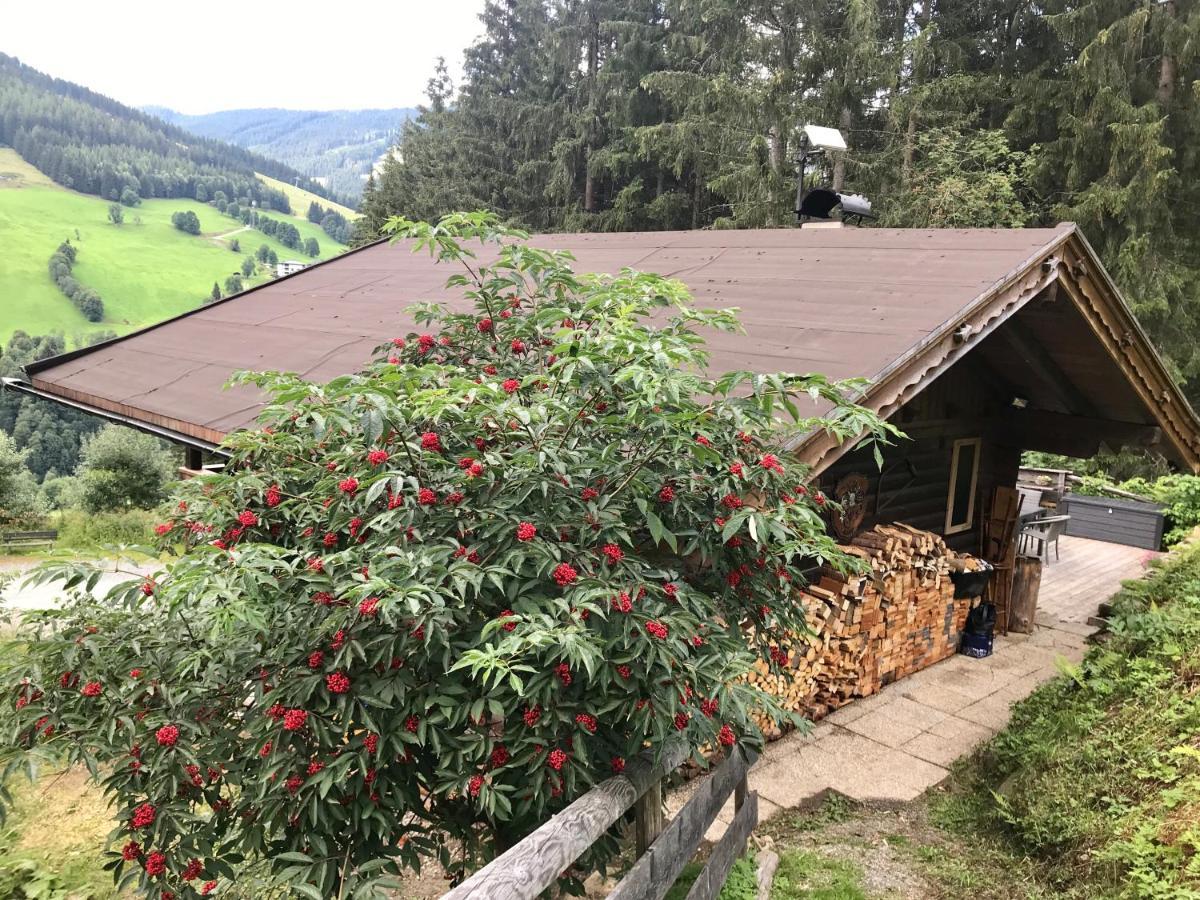 Wasserfallhuette Saalbach Екстериор снимка