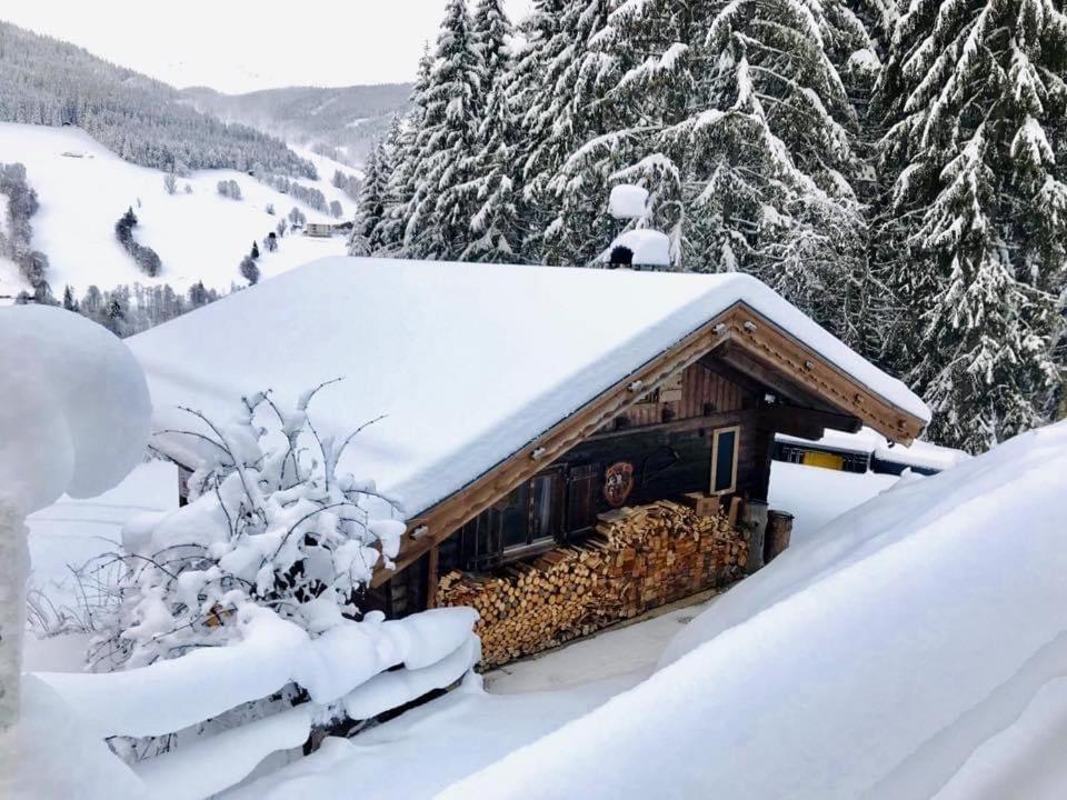 Wasserfallhuette Saalbach Екстериор снимка